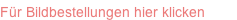 ID Plate